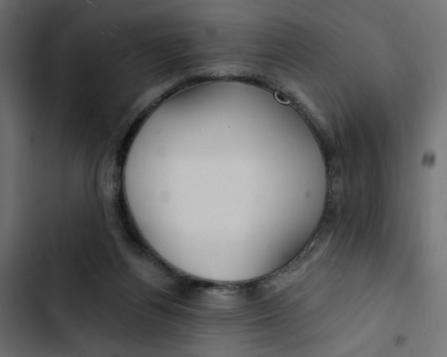 X0000103320164200809261145