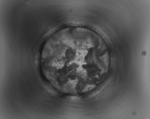 X0000103320165200809261145