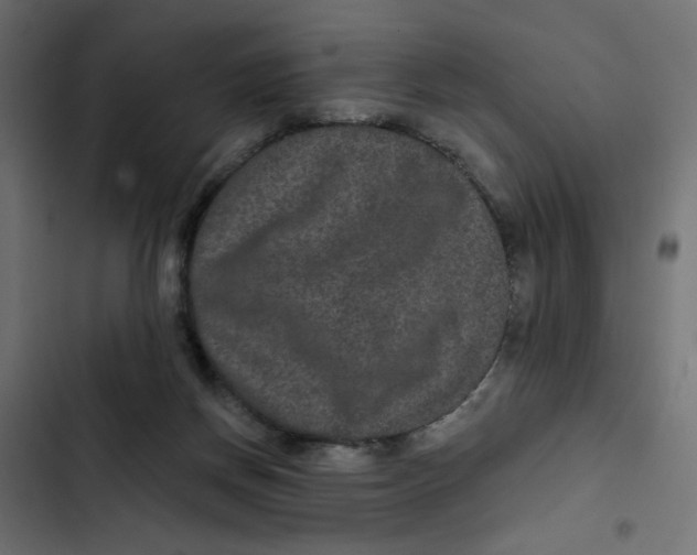 X0000103320166200809261145