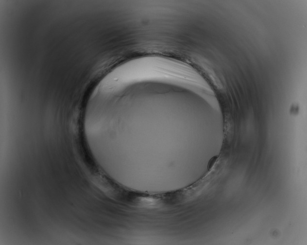 X0000103320167200809261145