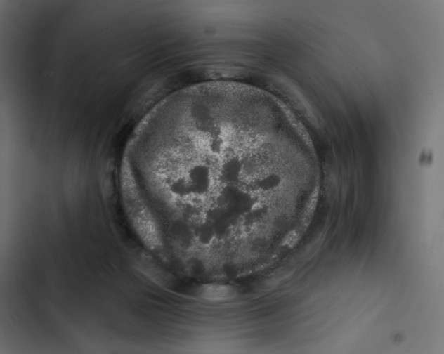 X0000103320169200809261145