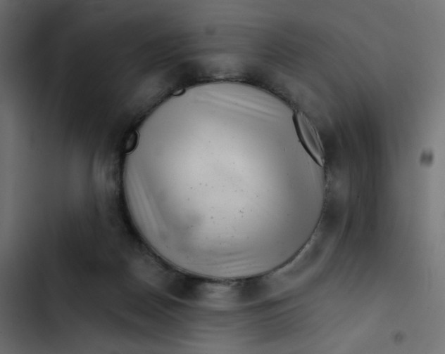 X0000103320170200809261145