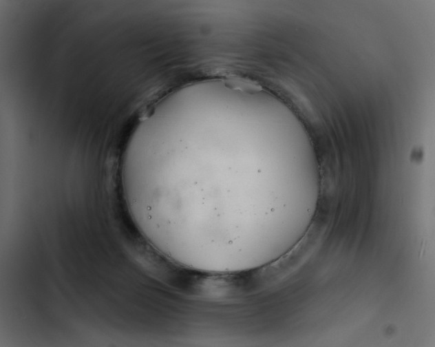 X0000103320171200809261145