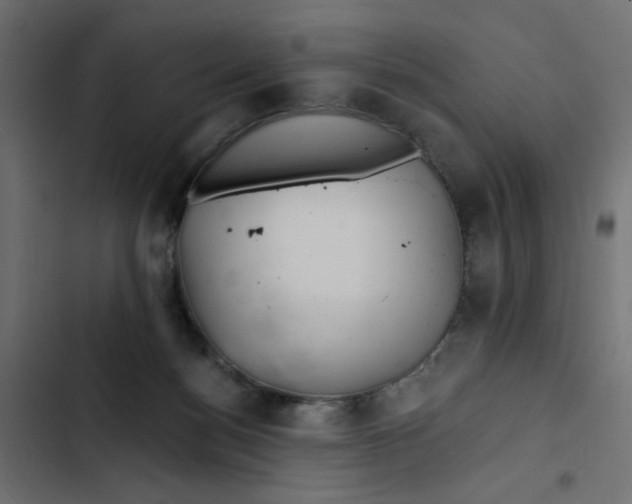 X0000103320172200809261145