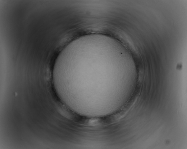 X0000103320173200809261145