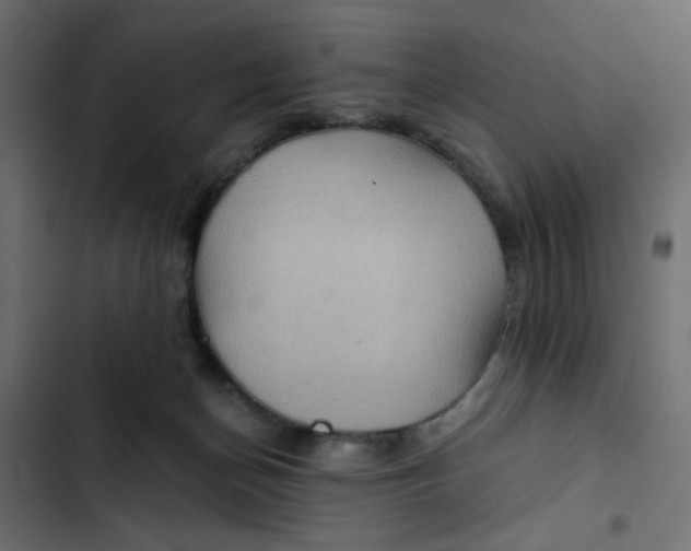 X0000103320174200809261145