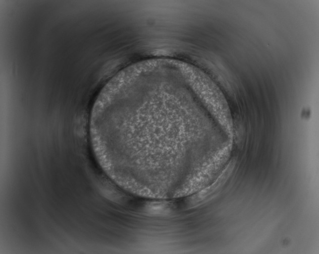 X0000103320175200809261145