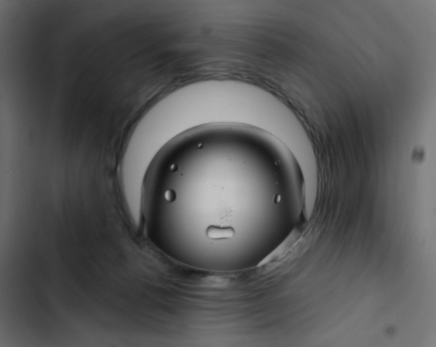 X0000103320176200809261145