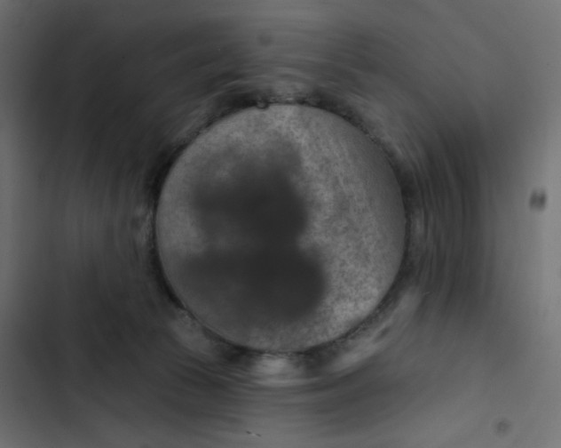 X0000103320177200809261145