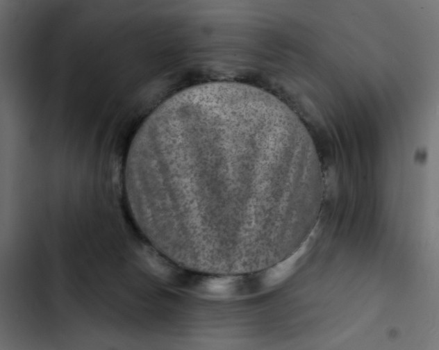 X0000103320178200809261145