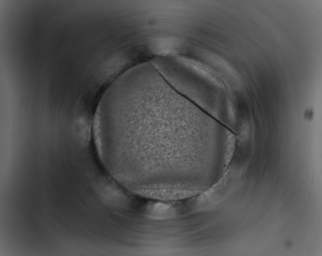 X0000103320180200809261145