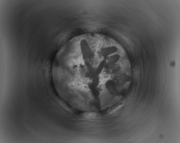 X0000103320181200809261145