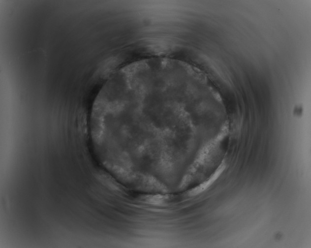 X0000103320182200809261145