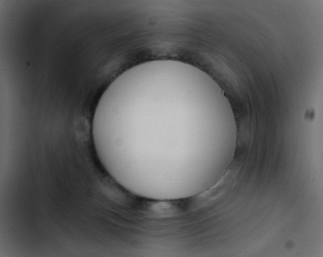 X0000103320183200809261145