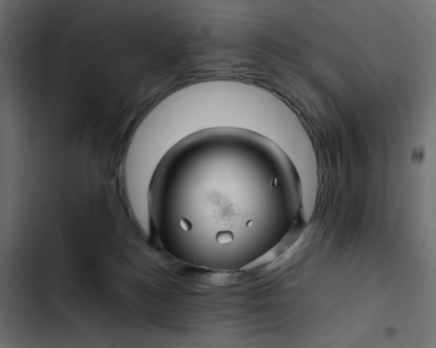 X0000103320184200809261145