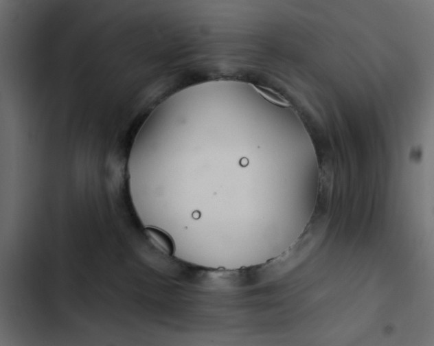 X0000103320188200809261145