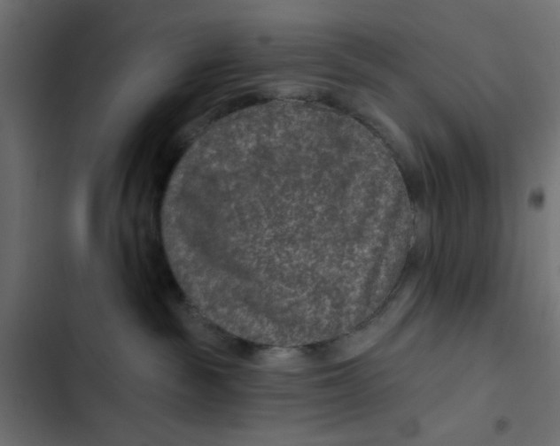 X0000103320189200809261145