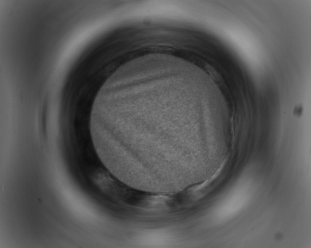 X0000103320190200809261145