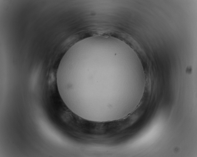 X0000103320191200809261145