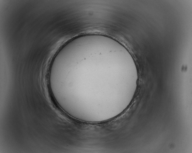 X0000103320193200809261145