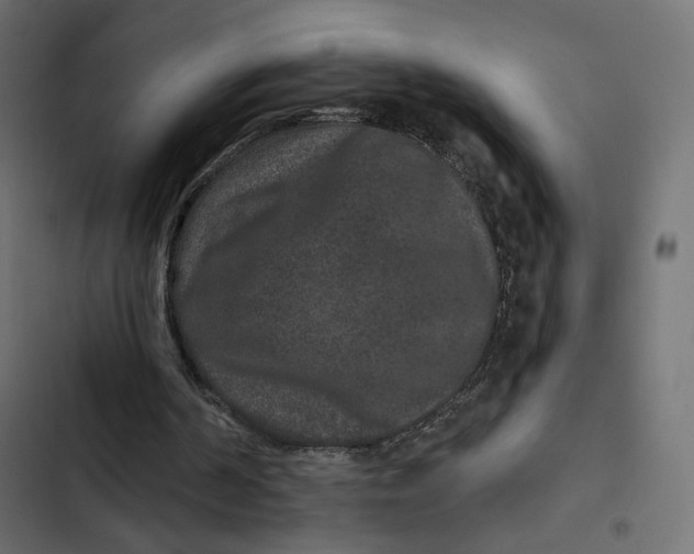 X0000103320194200809261145