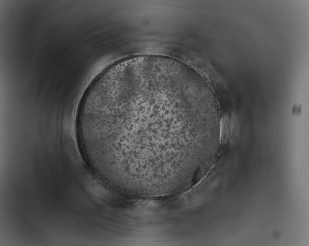 X0000103320195200809261145