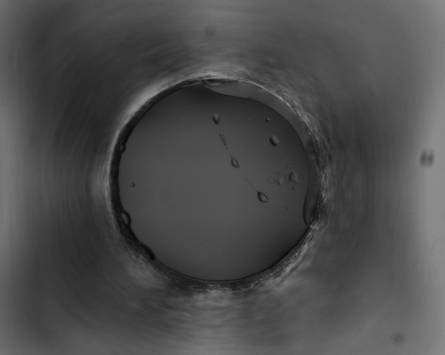 X0000103320196200809261145