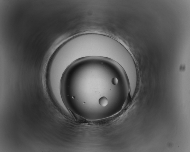 X0000103320199200809261145