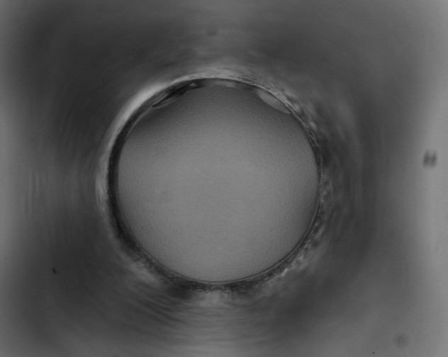 X0000103320200200809261145