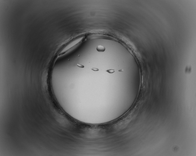 X0000103320201200809261145