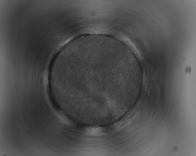 X0000103320202200809261145