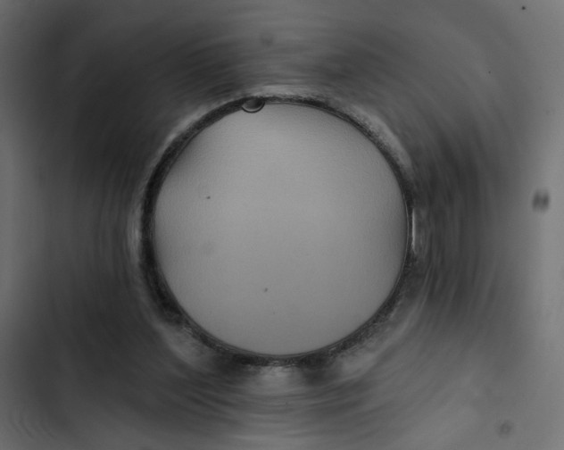 X0000103320204200809261145