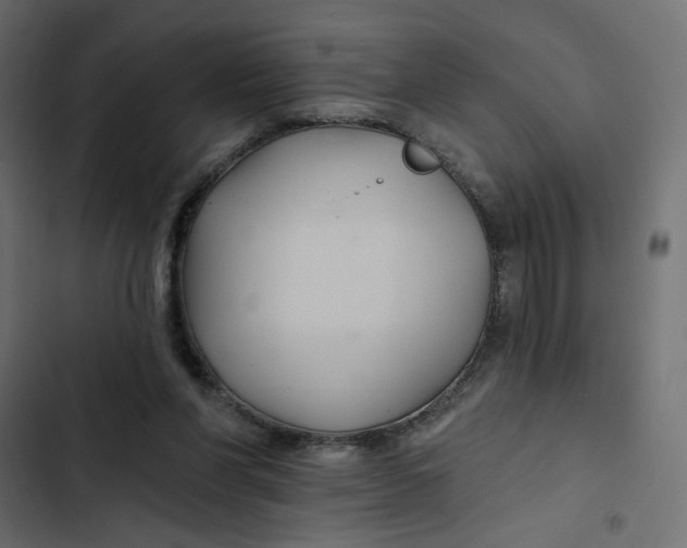 X0000103320206200809261145