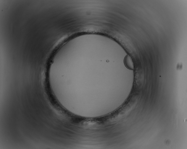 X0000103320208200809261145