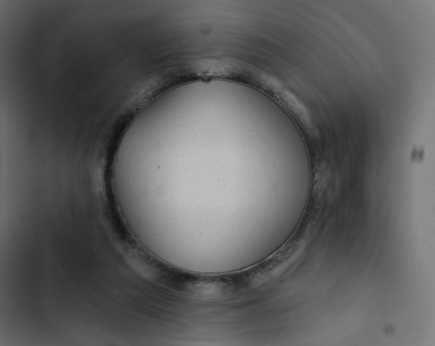 X0000103320209200809261144