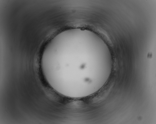 X0000103320210200809261144