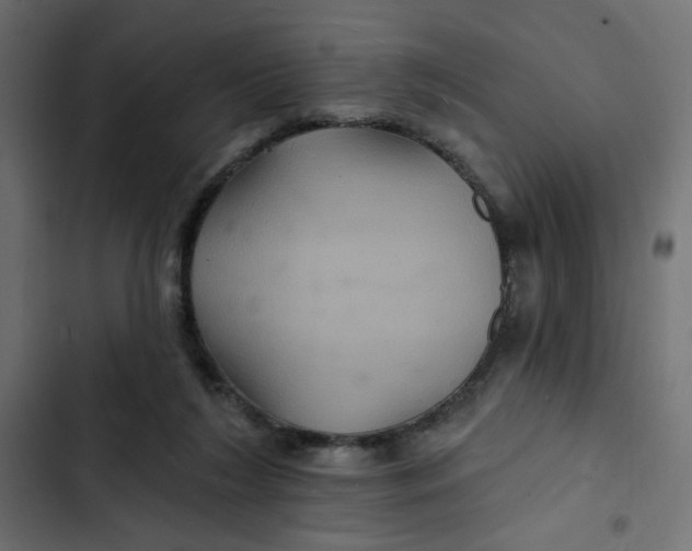 X0000103320212200809261144