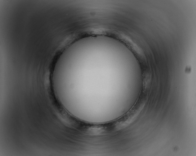 X0000103320213200809261144