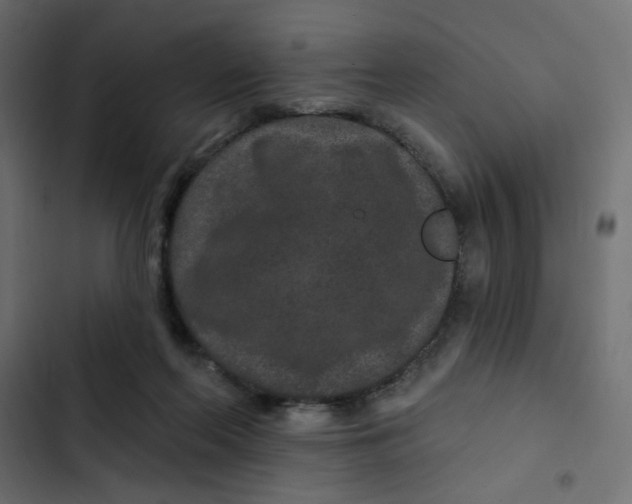 X0000103320214200809261144