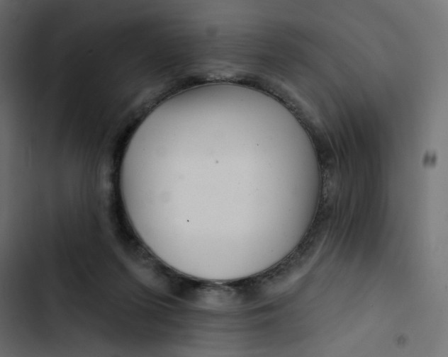 X0000103320215200809261144