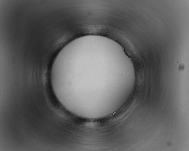 X0000103320216200809261144