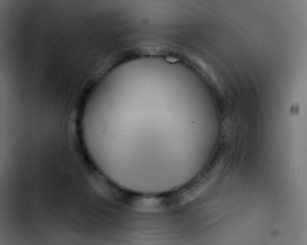 X0000103320217200809261144