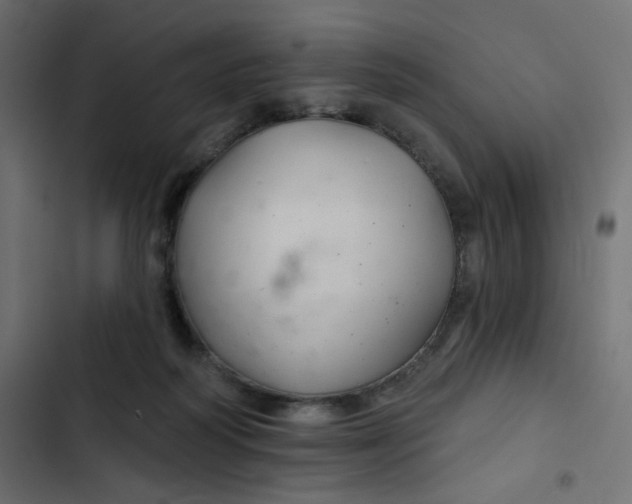 X0000103320218200809261144