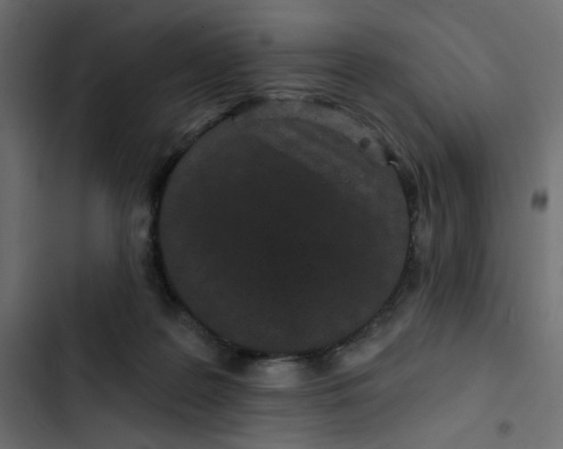 X0000103320219200809261144