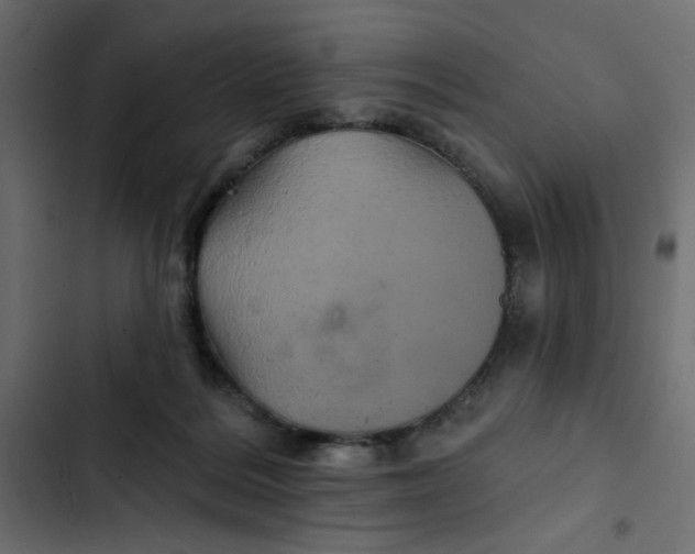 X0000103320220200809261144