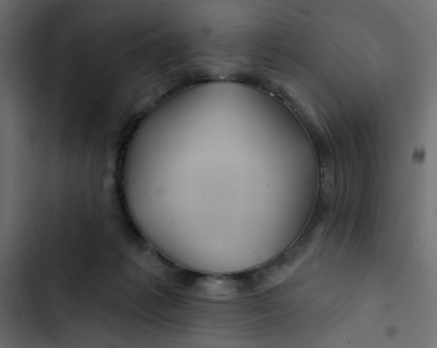 X0000103320221200809261144