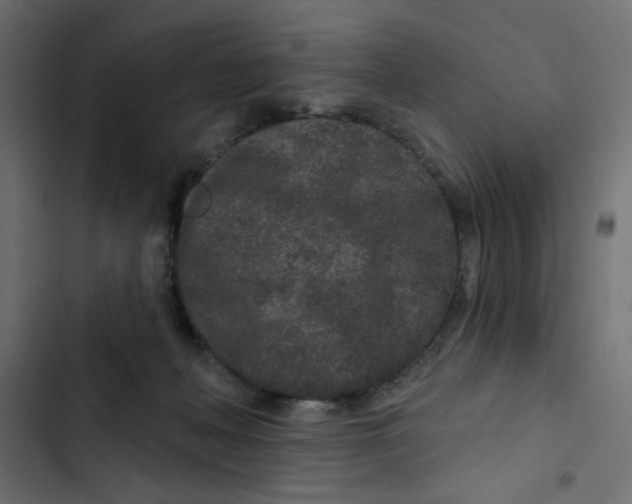 X0000103320222200809261144