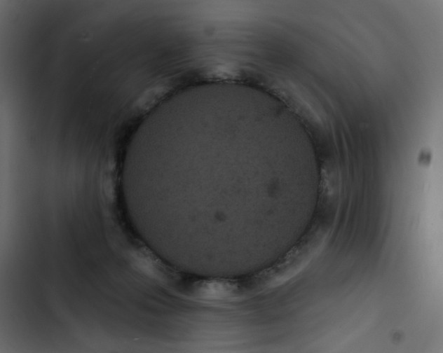 X0000103320223200809261144