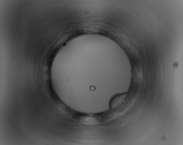 X0000103320224200809261144