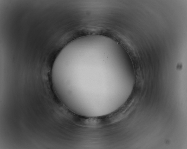 X0000103320225200809261144